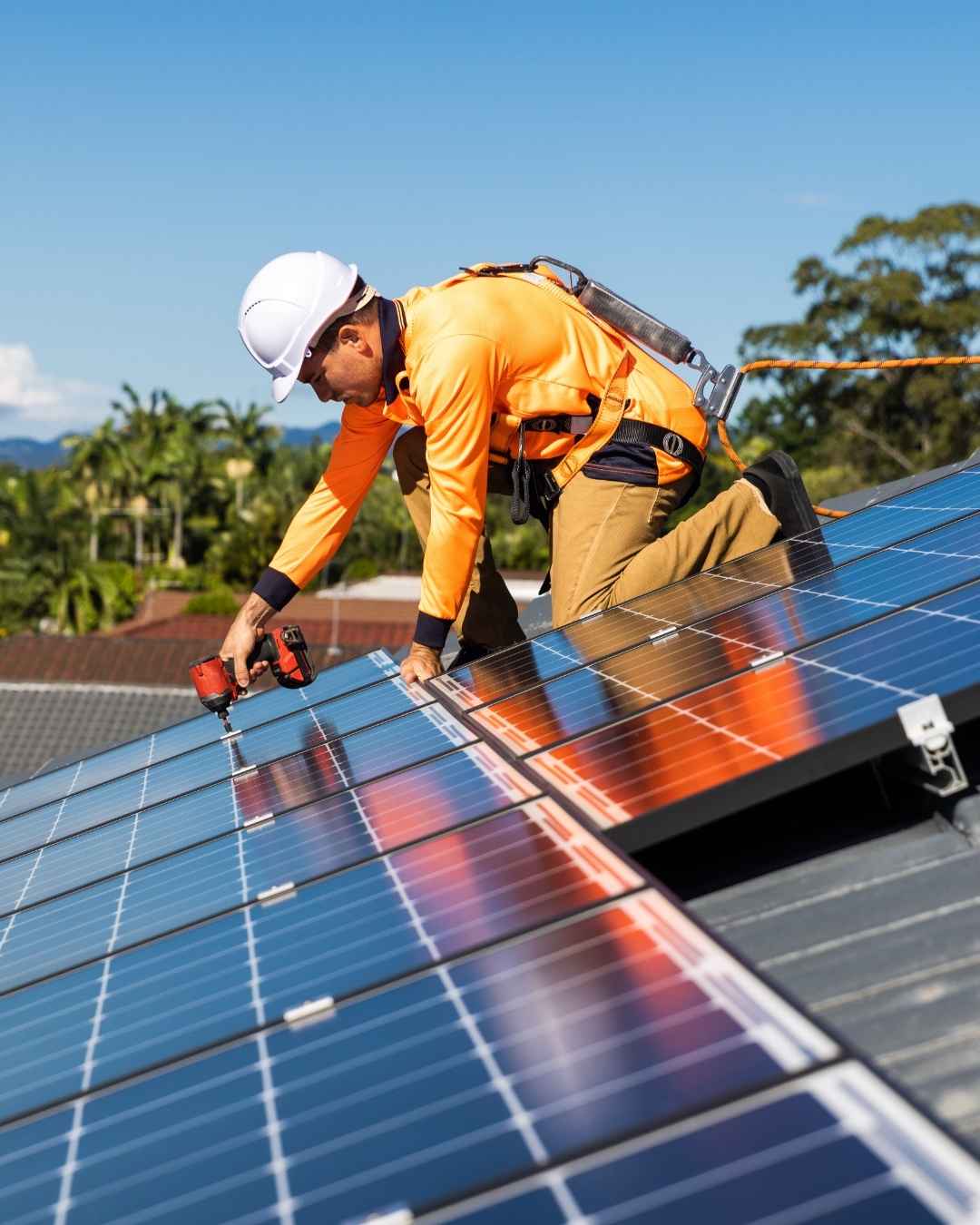 solar powerplant (1)